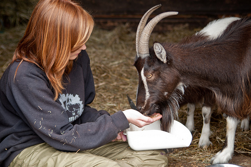 Farm & Community Worker Vacancy